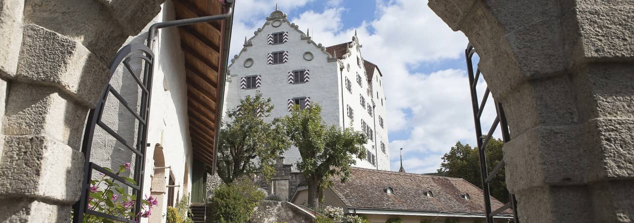 Schloss Wildegg, Museum Aargau