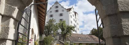 Schloss Wildegg, Museum Aargau