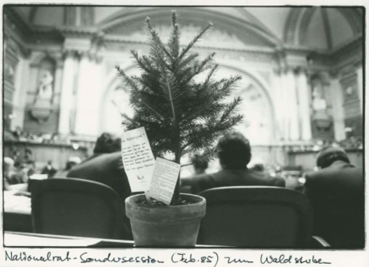 Ein kleiner Tannenbaum steht im Nationalratssaal anlässlich der Sondersession zum Thema Waldsterben. 