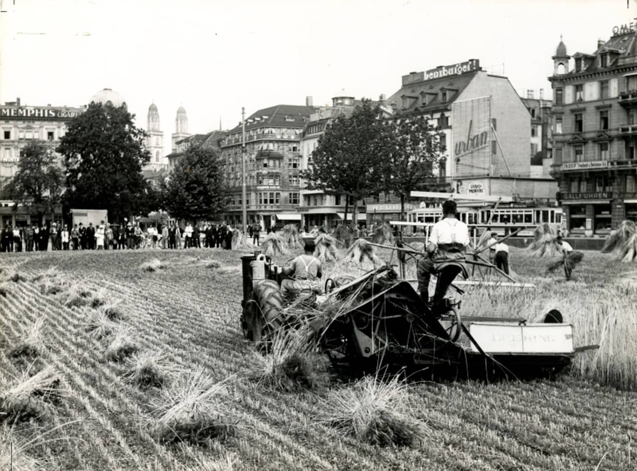 Zwei Männer mähen ein Feld im Rahmen der Anbauschlacht in Zürich.