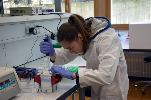 Nina Kathe holte an der Schweizer Biologie-Wissenschafts-Olympiade 2017 Gold. 
