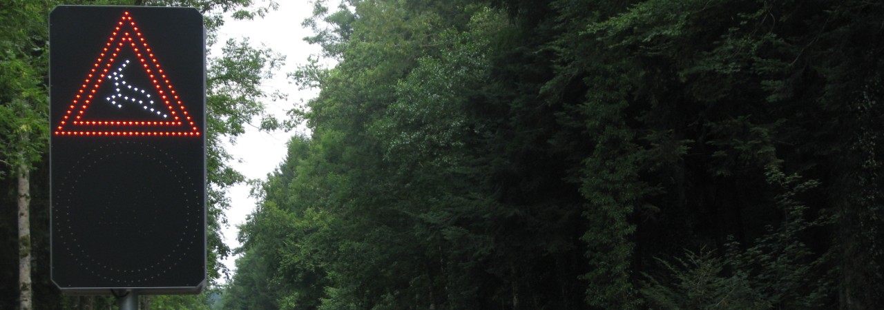 Waldstück mit Strasse, am Strassenrand steht eine Wildwarnanlage – eine rot-schwarze Tafel mit reflektierenden Elementen warnt Autofahrende vor Wildtieren.