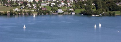 Blick vom See auf das besiedelte Ufer des Hallwilersees. Im Vordergrund sind einige Segelbote zu sehen im Hintergrund ein Hügelzug. 