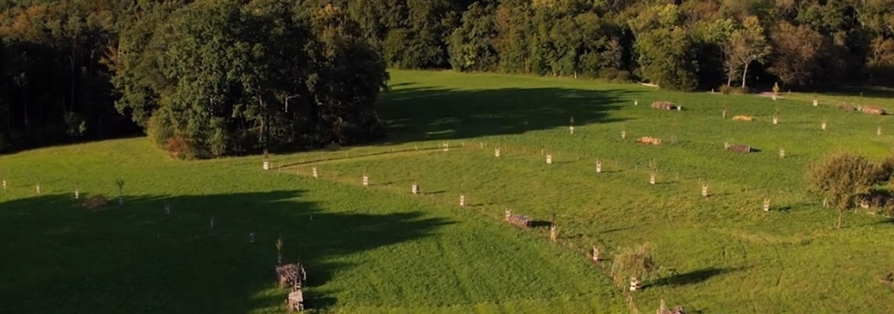  Landschaft des Äbertsmatthofs