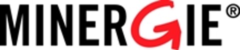 Logo Verein Minergie