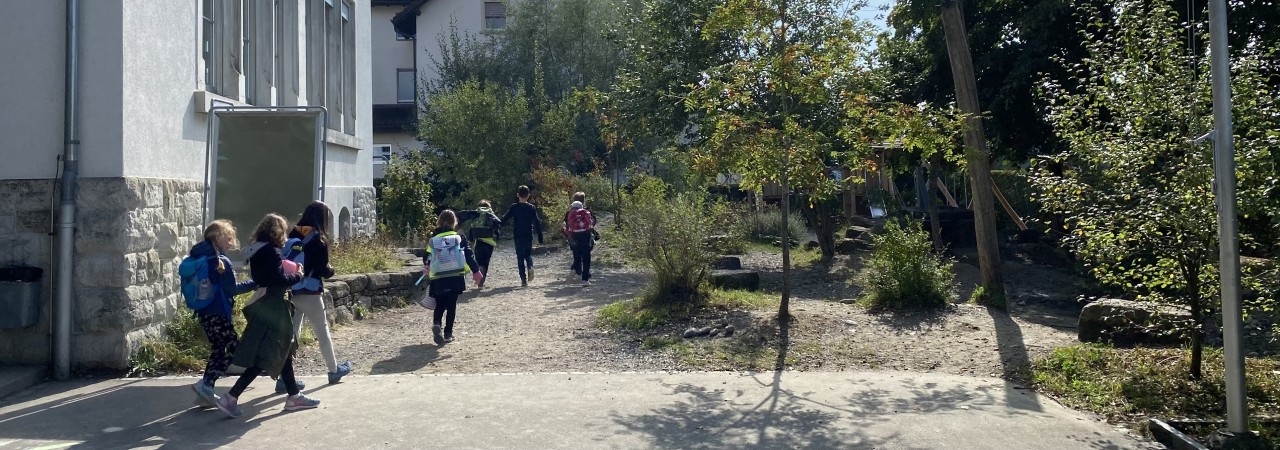 Das Bild zeigt einen naturnahen Spielplatz.