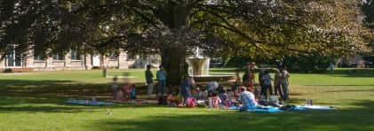 Gruppen von Menschen, die sich im Schatten grosser Bäume in einem Park erholen.