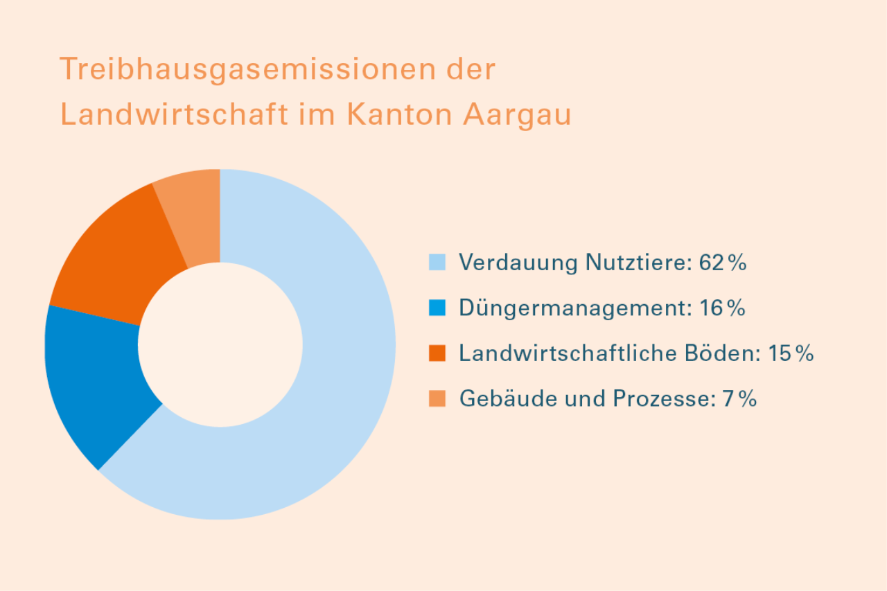 Kuchendiagramm der Treibhausgasemissionen in der Landwirtschaft.