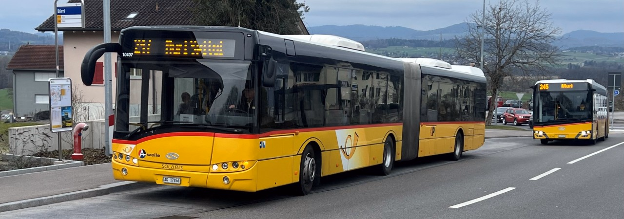 Buslinien 217 und 245.