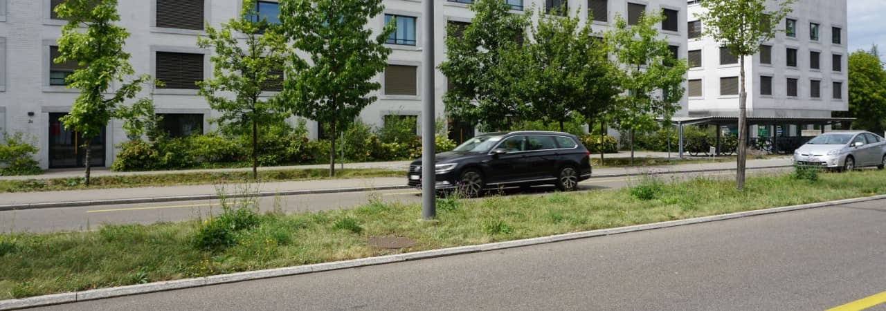 Blick auf eine befahrene Strasse. Im Hintergrund sind Mehrfamilienhäuser zu sehen.