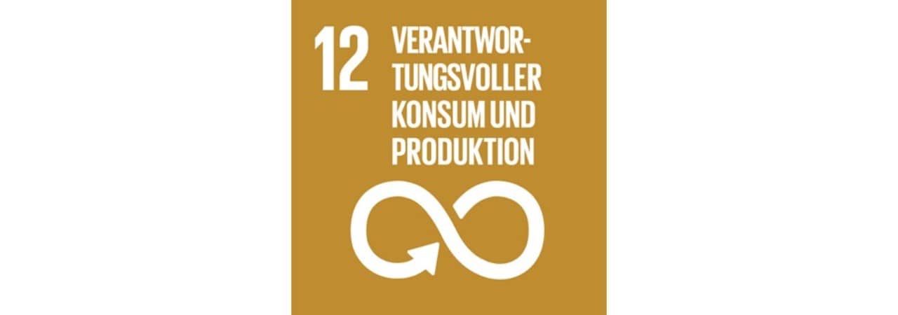 Logo SDG 12: Verantwortungsvoller Konsum und Produktion