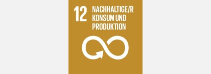 Logo SDG 12: Nachhaltiger Konsum und Produktion