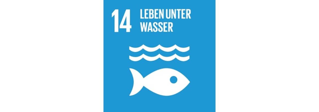 Logo SDG 14: Leben unter Wasser