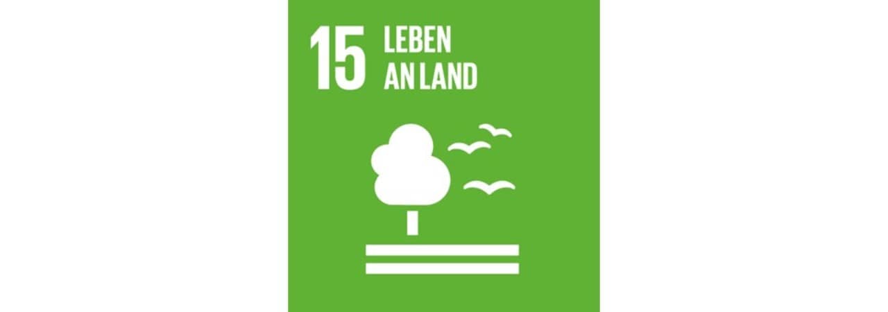 Logo SDG 15: Leben an Land
