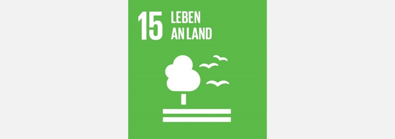 Logo SDG 15: Leben an Land