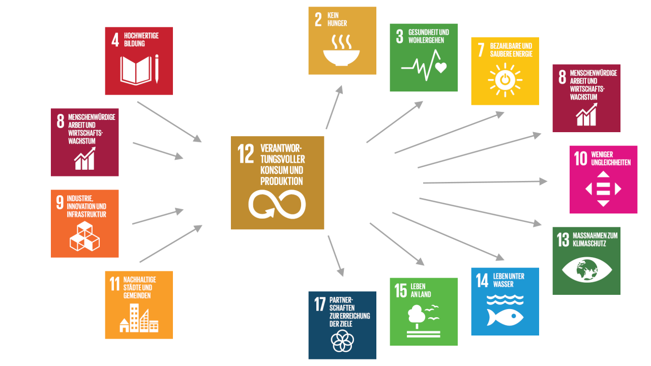 Die allgemeingültige (generische) Beschreibung der Beziehungen des SDG 12 mit anderen SDGs zeigt wichtige Zusammenhänge und kann Hinweise auf mögliche Handlungsansätze geben