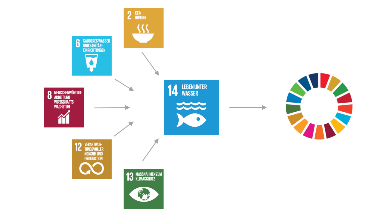 Die allgemeingültige (generische) Beschreibung der Beziehungen des SDG 14 mit anderen SDGs zeigt wichtige Zusammenhänge und kann Hinweise auf mögliche Handlungsansätze geben