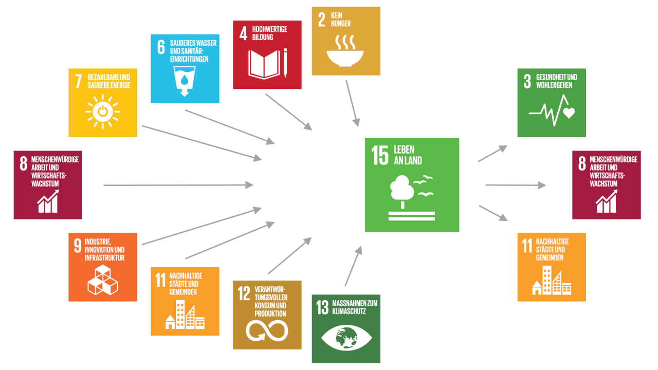 Die allgemeingültige (generische) Beschreibung der Beziehungen des SDG 15 mit anderen SDGs zeigt wichtige Zusammenhänge und kann Hinweise auf mögliche Handlungsansätze geben