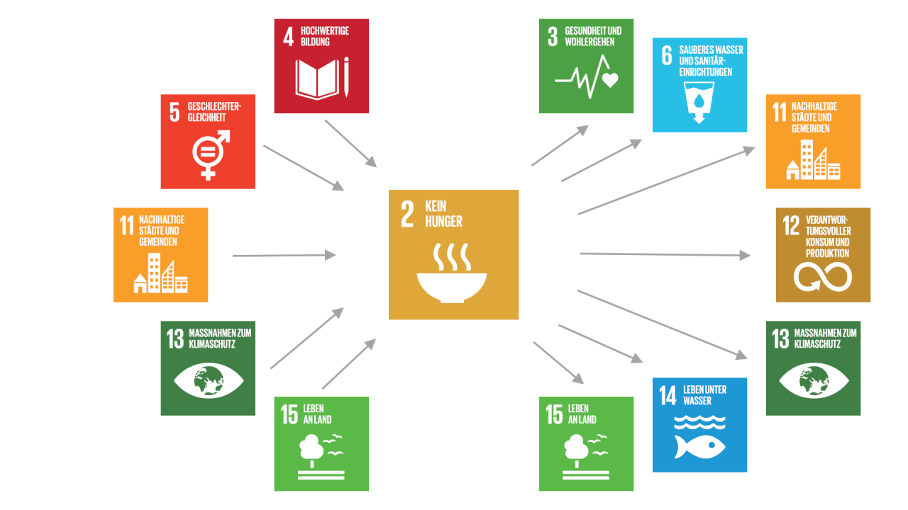 Die allgemeingültige (generische) Beschreibung der Beziehungen des SDG 6 mit anderen SDGs zeigt wichtige Zusammenhänge und kann Hinweise auf mögliche Handlungsansätze geben