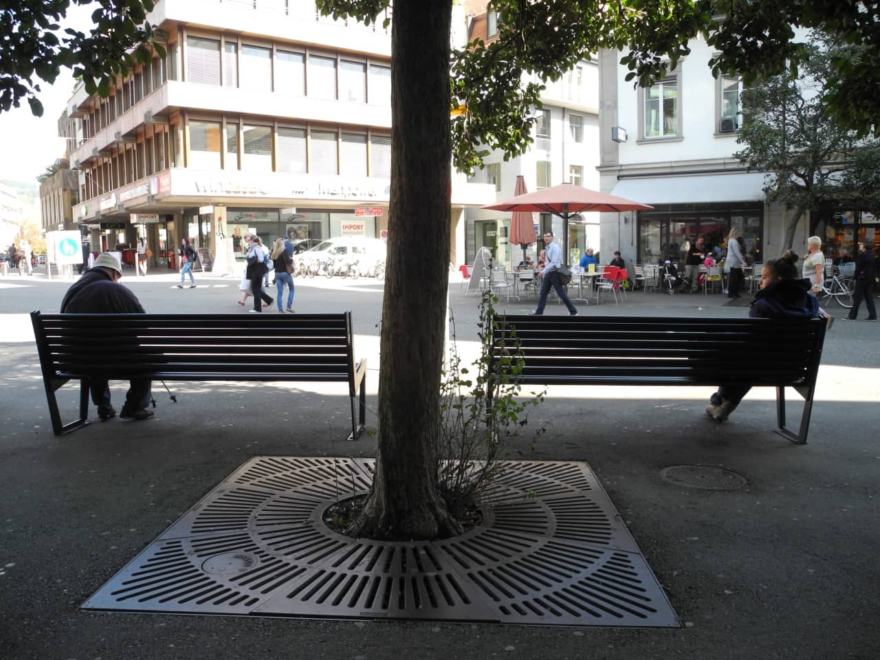 Zwei Personen sitzen auf Bänken im Schatten eines Baumes.