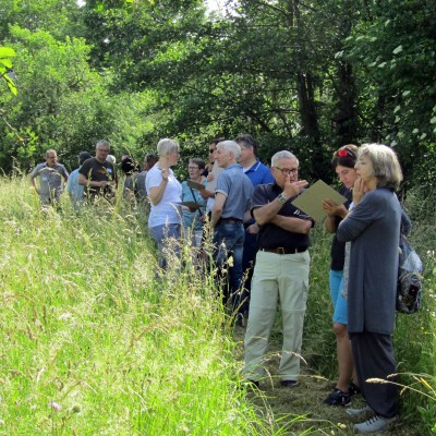 Teilnehmende eines Workshops stehen auf einem gemähten Streifen der Rössliwiese in Gipf-Oberfrick.