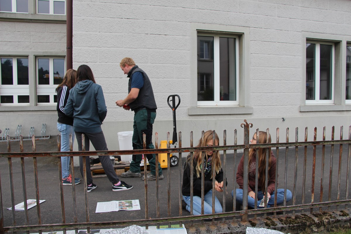 Eine Gruppe von Schülerinnen streicht den Zaun am Jugendhaus