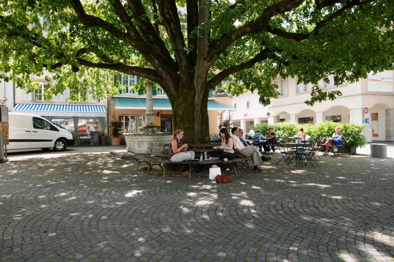 Jugendliche sitzen im Schatten der grossen Linde in der Mitte der Altstadt Zofingen.