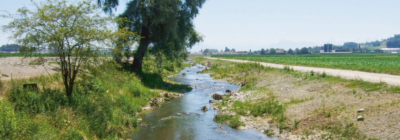 Foto der revitalisierten Bünz oberhalb des Hochwasserrückhaltebeckens Wohlen.