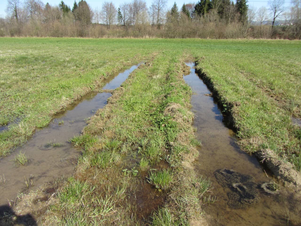 Foto mit stehendem Wasser in Fahrspuren.