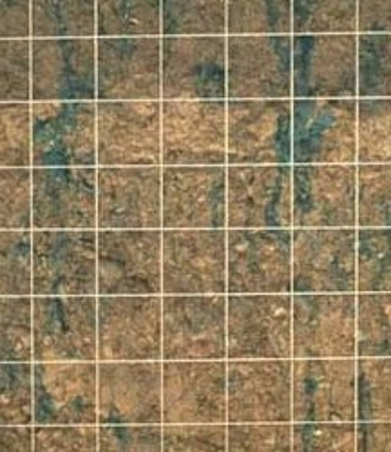 Das Bild zeigt, wie Wasser im Boden versickert und hauptsächlich durch Regenwurmgänge (eingefärbt) den Weg in die Tiefe findet.