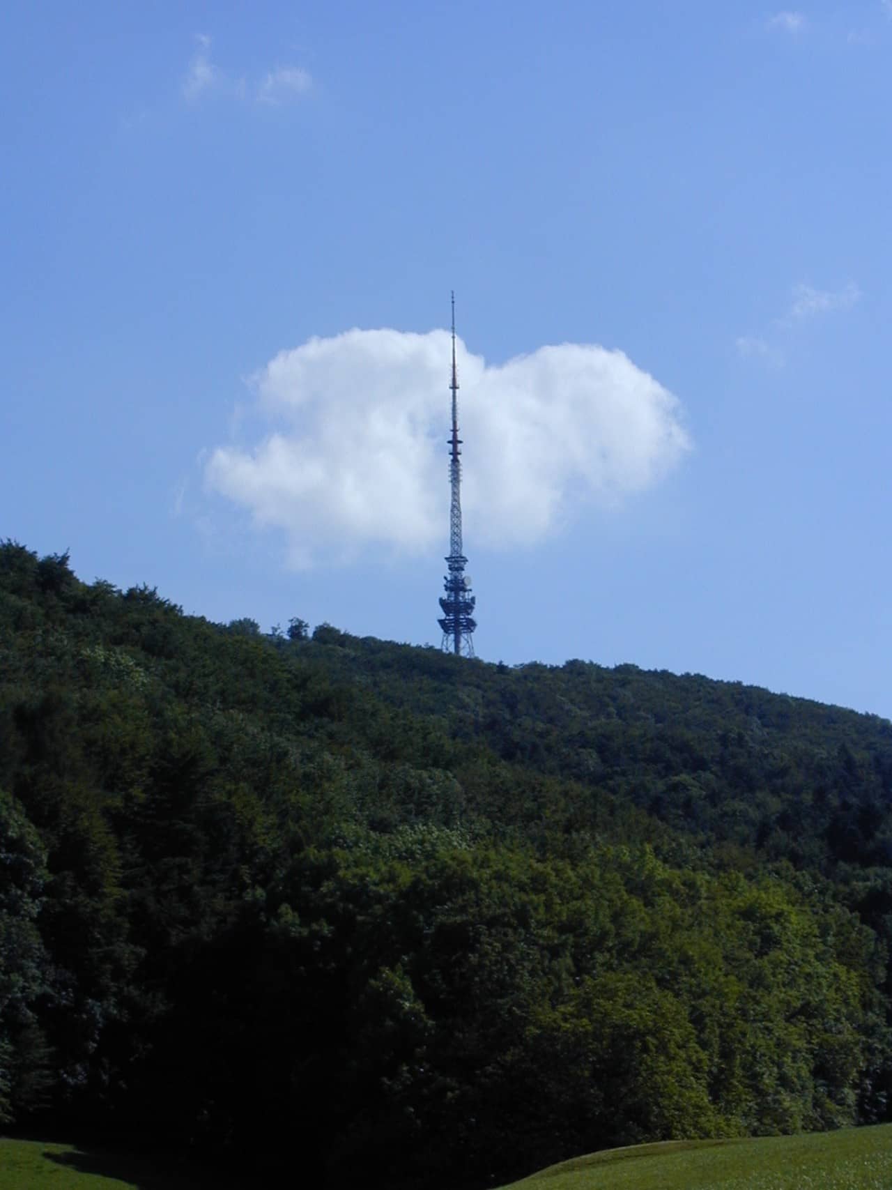 Funkturm auf einem bewaldeten Hügelhang.