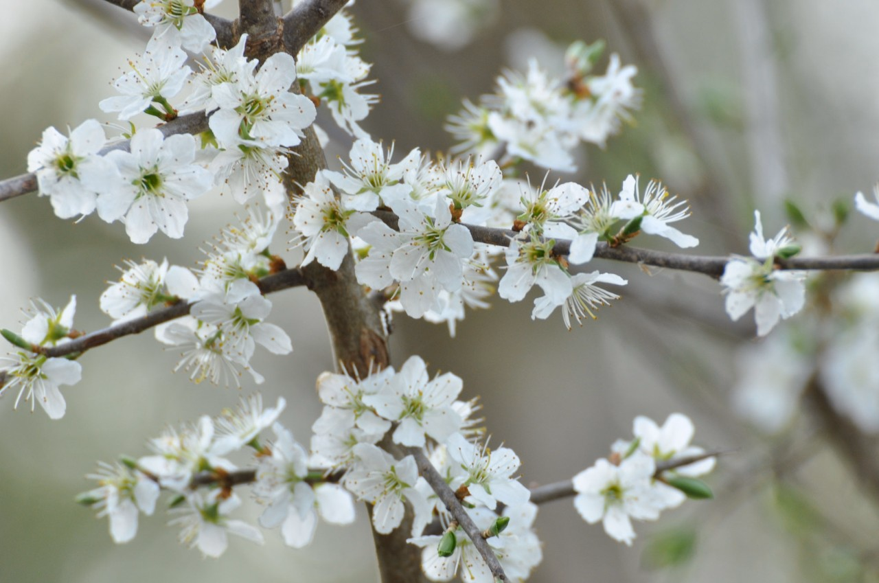 Foto von Petra Zajec 