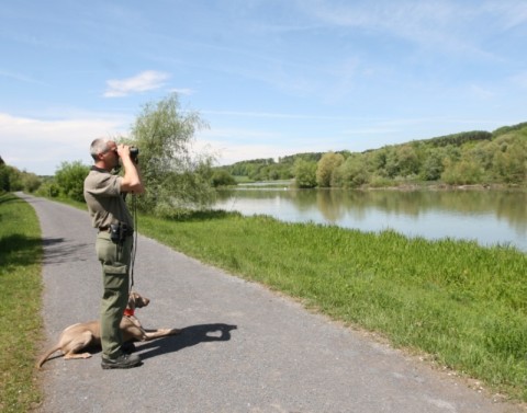 Kantonaler Reservatsaufseher in Begleitung seines Hundes blickt auf den Flachsee