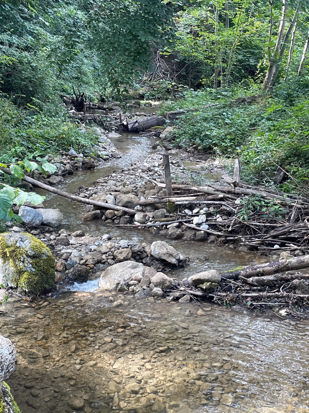 Bach mit Holzstrukturen.