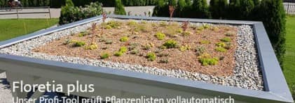 Flachdach mit extensiver Begrünung