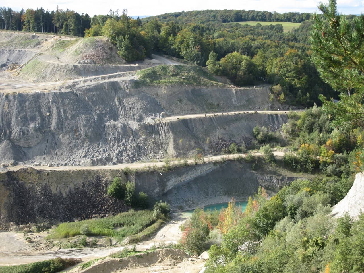 Blick in eine offene Kiesgrube in der ein Nutzfahrzeug zu sehen ist. Im Hintergrund liegt Siedlungsgebiet.