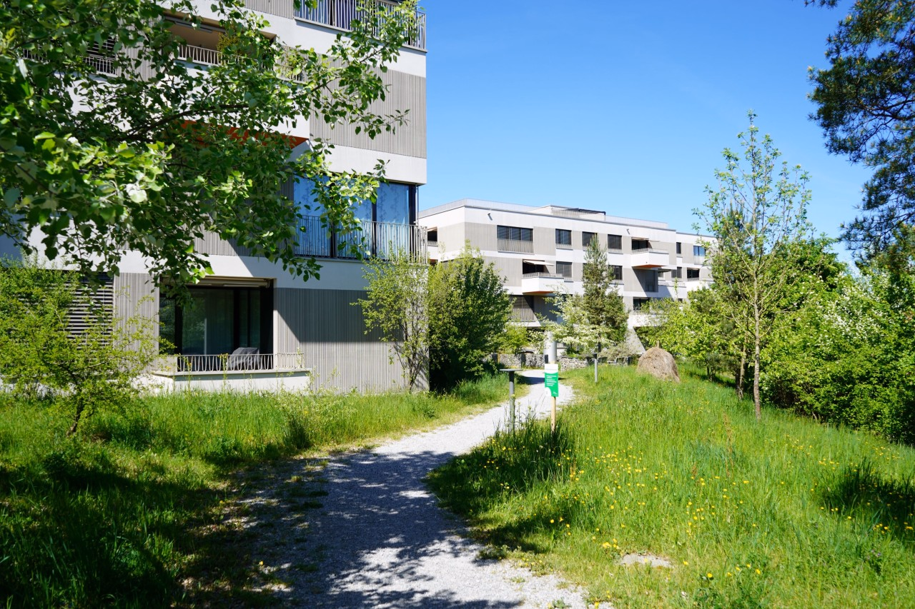 Blick auf die Überbauung Zopfmatte über Grünfläche