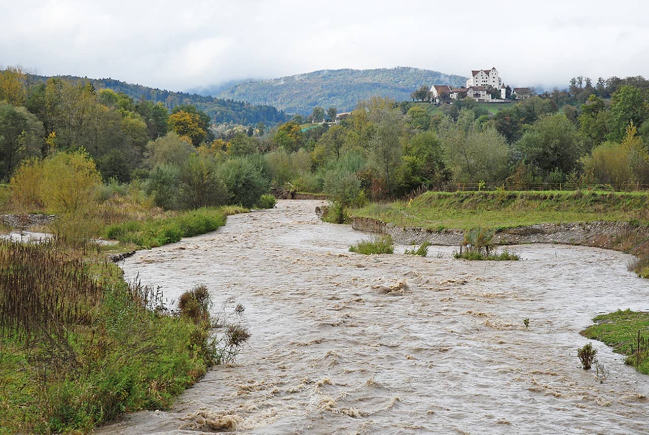 Das Bild zeigt, wie die Bünz bei Hochwasser Teile des Ufergebiets überschwemmt und so neu gestaltet. 