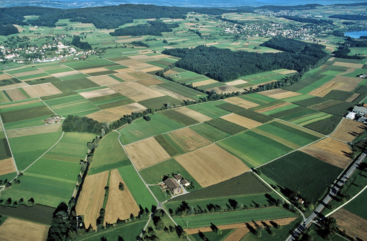 Luftaufnahme des Gebiets zwischen Hallwil und Seon, auf der viel landwirtschaftliche Fläche zu sehen ist. Durch diese fliesst der Aabach in seinem Kanalbett.