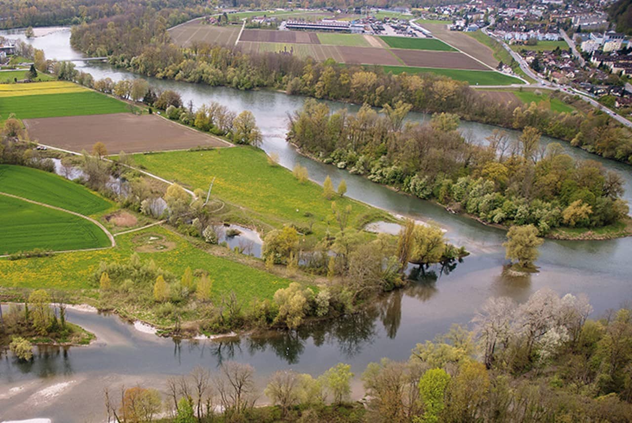 Der renaturierte Limmatspitz mit neuem Seitenarm 