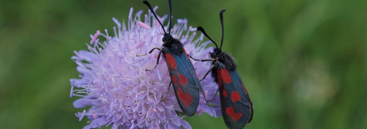 Slider: MjMxMTY3MQ Bild 11
