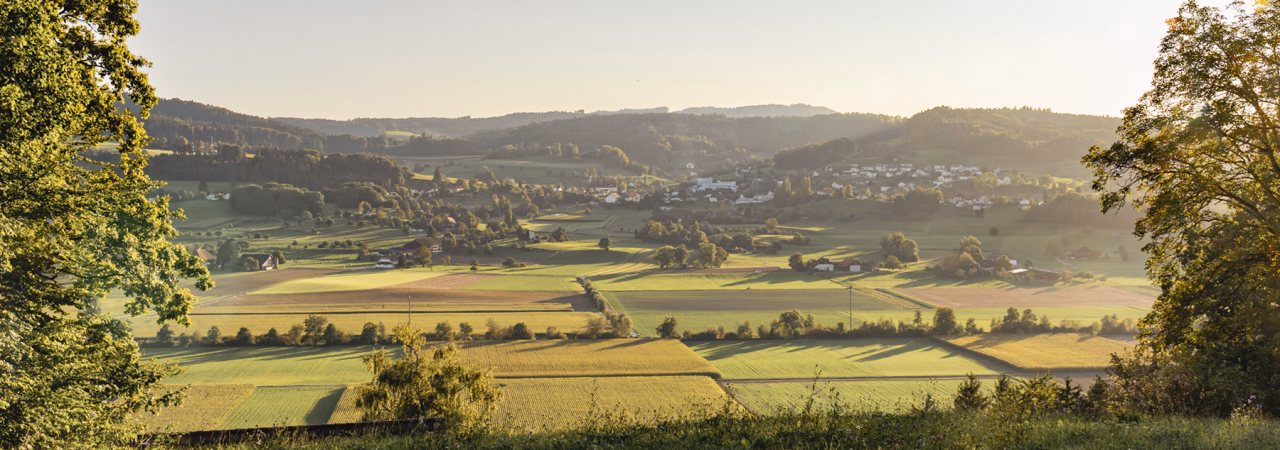 Blick aus der Natur auf Habsburg und Umgebung.