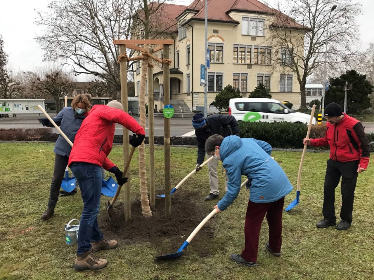 Baumpflanzung Klimaoase Buchs