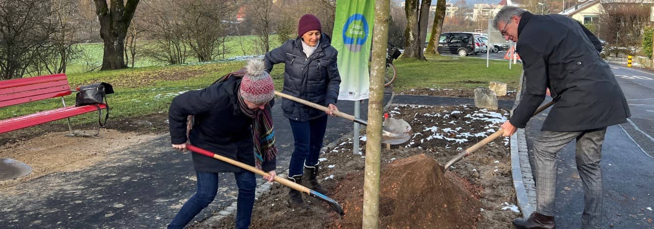 Pflanzung der Klimaoase in Lenzburg