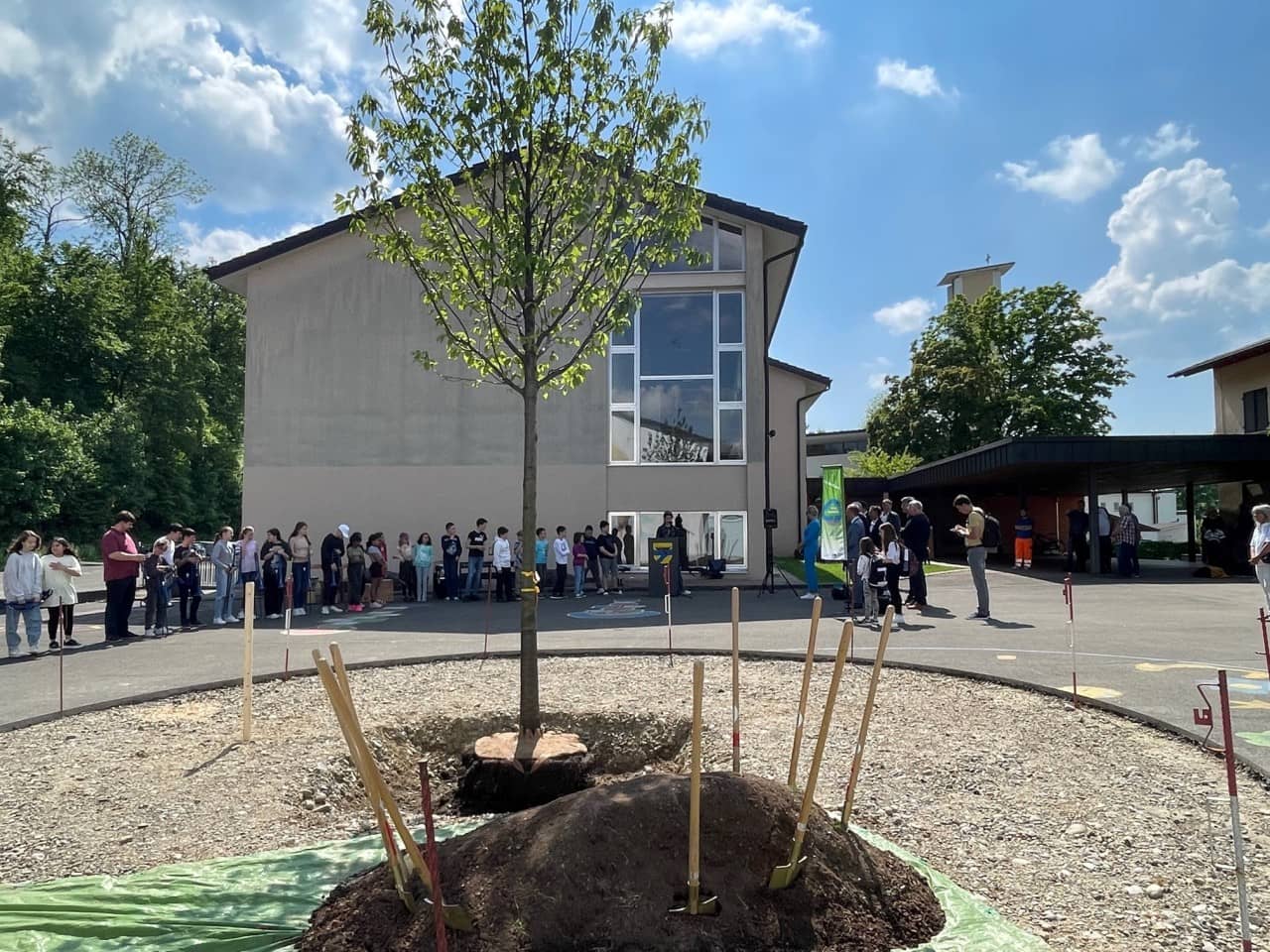 Baumpflanzung Klimaoase Koblenz