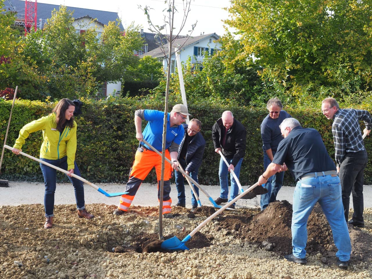 Baumpflanzung Klimaoase Koelliken