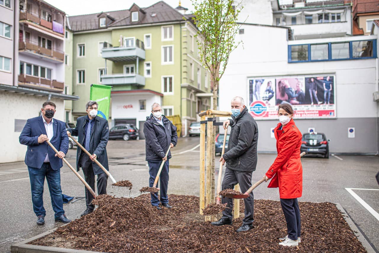 Baumpflanzung Klimaoase Bad Säckingen, gemeinsamer Spatenstich
