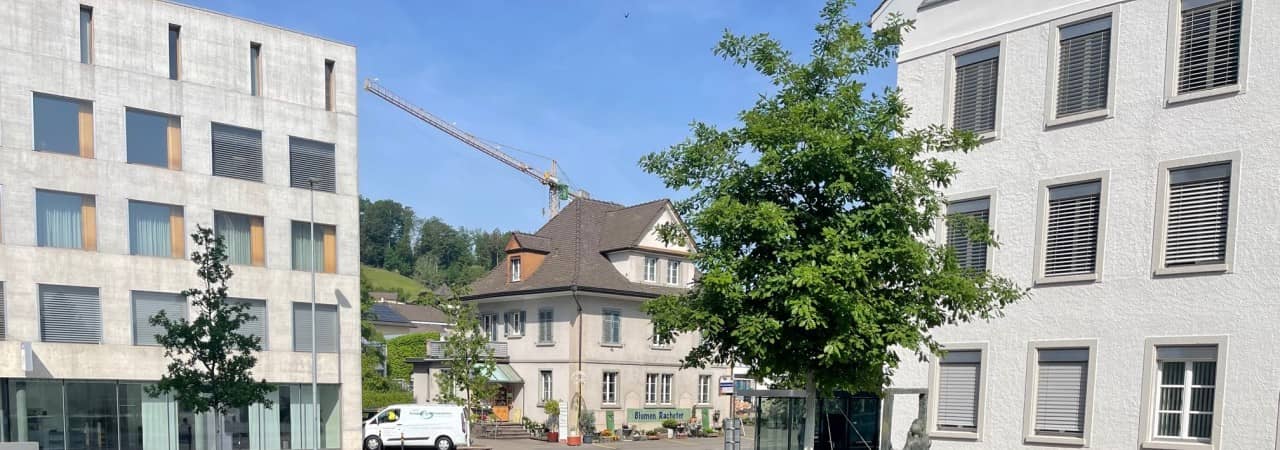 Blick auf eine Klimaoase mit noch jungen Bäumen. Rundherum sind Betonbauten zu sehen.