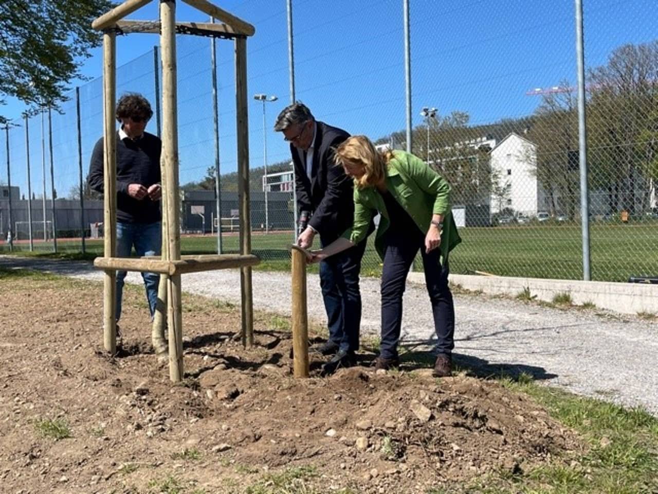 Baumpflanzung Klimaoase Wettingen