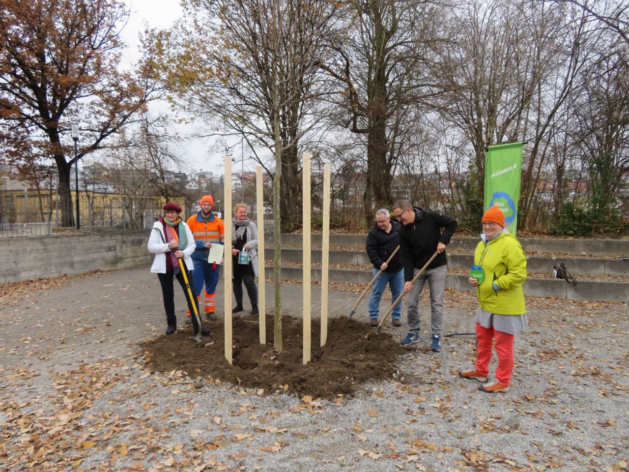 Baumpflanzung Klimaoase Wohlen